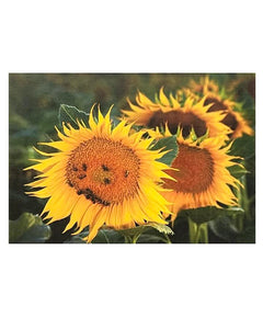 "Happy Bees on Sunflower Card" by Patrick Jagger