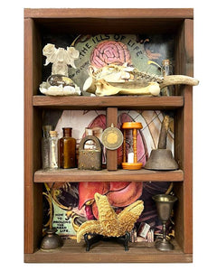 "Shadow Box with Starfish" by Karen Oeh