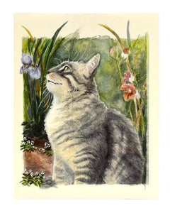 "Quintessential Cat #7" by Jeri Anderson