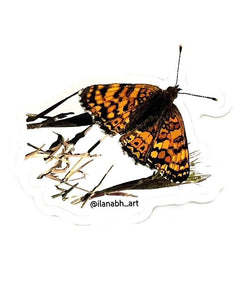 "Monarch Fritillary Sticker" by Ilana Holt