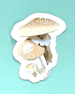 "Maine Mushroom Sticker" by Ilana Holt