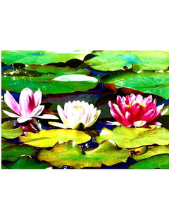 "Water Lilies" by Sylvia Valentine