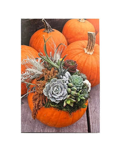 "Succulents & Pumpkins card" by Sylvia Valentine