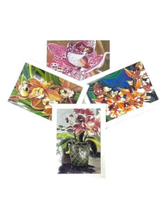 "Four Orchid Cards" by Linda Curtis