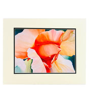 Load image into Gallery viewer, &quot;Rose in Gamble Gardens&quot; by Linda Curtis
